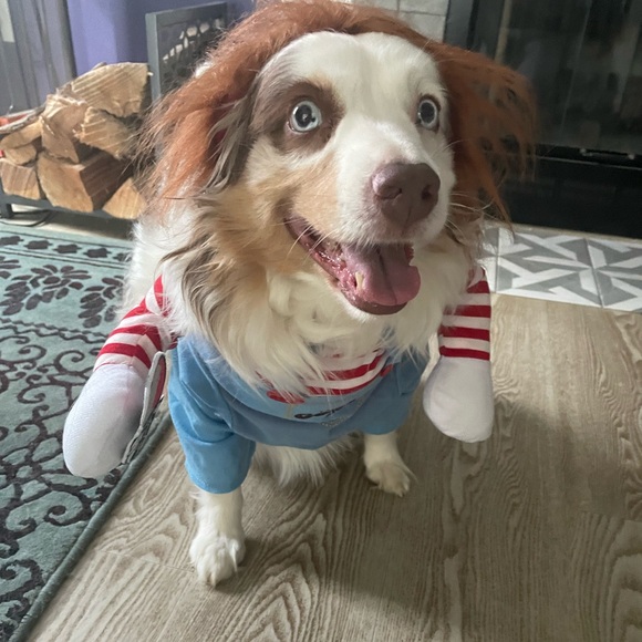 Chucky Good Dog Halloween Costume Size Medium - Picture 2 of 4